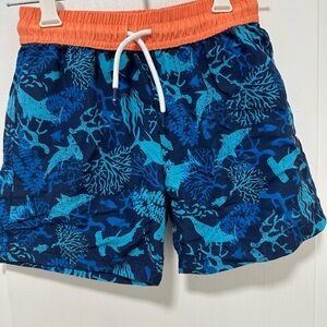 Blue and Orange Swim Shorts